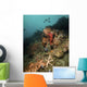 Starfish Diverse Reef Lembeh Wall Decal