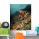 Starfish Diverse Reef Lembeh Wall Decal