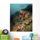 Starfish Diverse Reef Lembeh Wall Decal