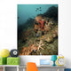 Starfish Diverse Reef Lembeh Wall Decal