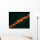 Close-up Whip Goby Whip Wall Decal