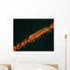 Close-up Whip Goby Whip Wall Decal