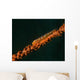 Close-up Whip Goby Whip Wall Decal