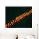 Close-up Whip Goby Whip Wall Decal