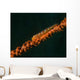 Close-up Whip Goby Whip Wall Decal