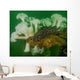 Plumose Anemone and Lingcod Wall Decal