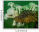 Plumose Anemone and Lingcod Wall Decal