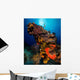 Colorful Reef Scene with Wall Decal