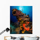 Colorful Reef Scene with Wall Decal
