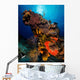 Colorful Reef Scene with Wall Decal
