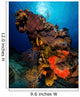 Colorful Reef Scene with Wall Decal