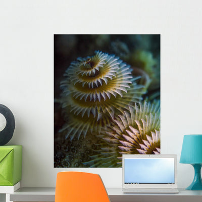 Pair Christmas Tree Worms Wall Decal shown on a wall