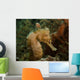 Seahorse West Palm Beach Wall Decal