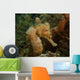 Seahorse West Palm Beach Wall Decal