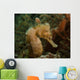 Seahorse West Palm Beach Wall Decal