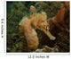 Seahorse West Palm Beach Wall Decal