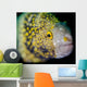 Snowflake Moray Eel Costa Wall Decal Design 2