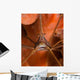 Arrow Crab Close-up West Wall Decal