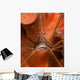Arrow Crab Close-up West Wall Decal