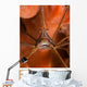 Arrow Crab Close-up West Wall Decal