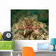 Batfish West Palm Beach Wall Decal