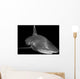 Oceanic Whitetip Shark Black Wall Decal Design 2
