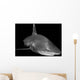 Oceanic Whitetip Shark Black Wall Decal Design 2