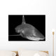 Oceanic Whitetip Shark Black Wall Decal Design 2