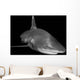 Oceanic Whitetip Shark Black Wall Decal Design 2