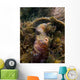 Blenny with Threatening Posture Wall Decal