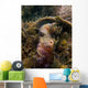 Blenny with Threatening Posture Wall Decal