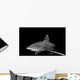 Oceanic Whitetip Shark Black Wall Decal Design 1