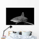 Oceanic Whitetip Shark Black Wall Decal Design 1