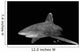 Oceanic Whitetip Shark Black Wall Decal Design 1