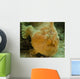 Frogfish Close-up West Palm Wall Decal