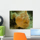 Frogfish Close-up West Palm Wall Decal