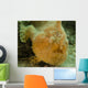 Frogfish Close-up West Palm Wall Decal