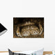 Pair Flame Box Crabs Wall Decal