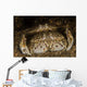 Pair Flame Box Crabs Wall Decal