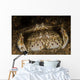 Pair Flame Box Crabs Wall Decal