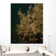 Stonefish Headshot West Palm Wall Decal