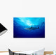 Silky Shark Shot Cat Wall Decal