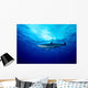 Silky Shark Shot Cat Wall Decal