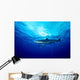 Silky Shark Shot Cat Wall Decal