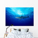 Silky Shark Shot Cat Wall Decal