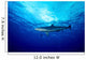 Silky Shark Shot Cat Wall Decal