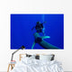 Diver Has Encounter with Wall Decal