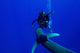 Diver Has Encounter with Wall Decal
