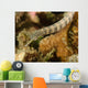 Scribbled Pipefish Indonesia Wall Decal