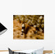 Two Squat Anemone Shrimp Wall Decal